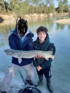 Northern Pike