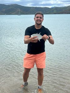 Blue Spotted Trevally