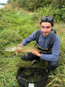 Northern Pike