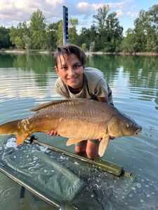 Mirror Carp