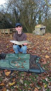 Northern Pike