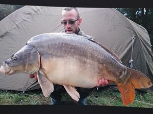 Mirror Carp