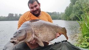 Common Carp