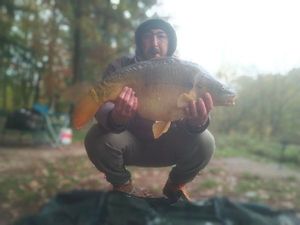 Mirror Carp