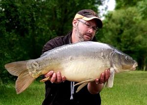 Mirror Carp