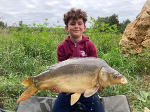 Mirror Carp