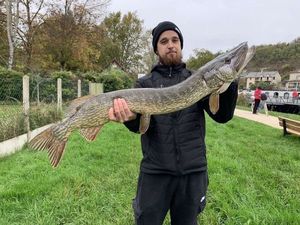 Northern Pike