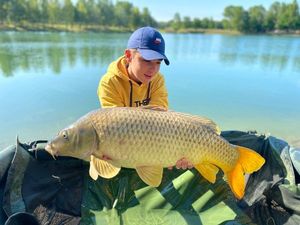 Common Carp