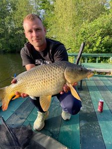 Common Carp