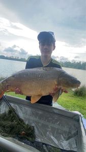 Mirror Carp