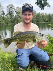 Smallmouth Bass