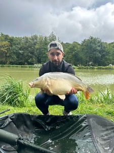 Mirror Carp