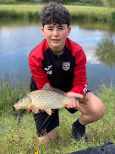 Common Carp