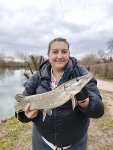 Northern Pike