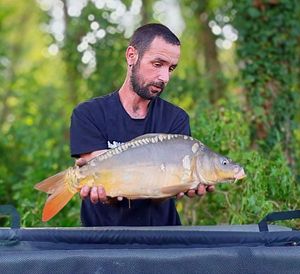 Mirror Carp
