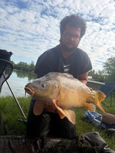 Mirror Carp