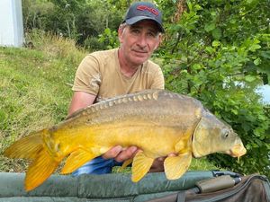Mirror Carp