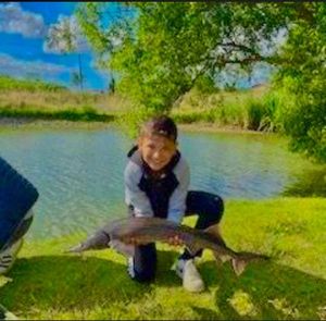 Sturgeon