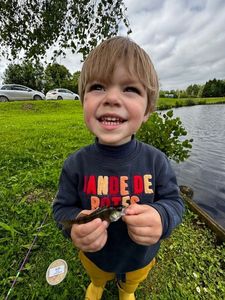 European Perch