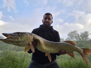 Northern Pike