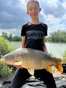 Common Carp