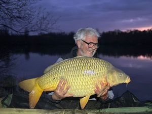 Common Carp