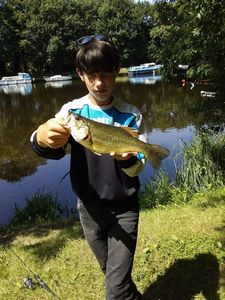 Largemouth Bass