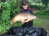 Mirror Carp