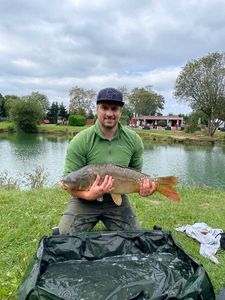 Mirror Carp