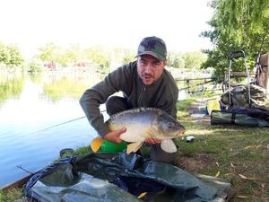 Mirror Carp