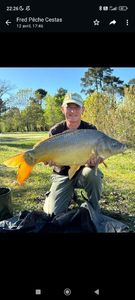 Leather Carp