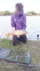 Common Carp