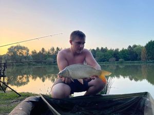 Common Carp