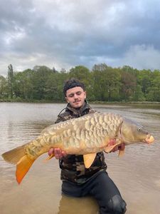 Mirror Carp