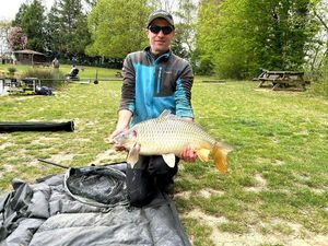 Common Carp