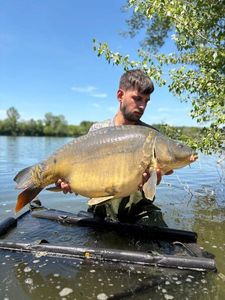 Mirror Carp