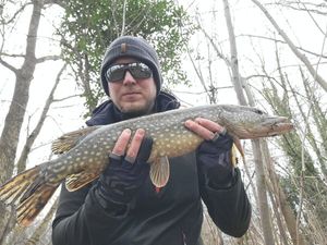 Northern Pike