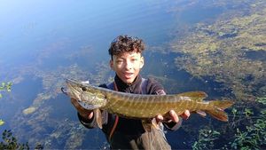 Northern Pike