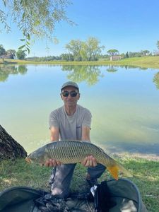 Common Carp