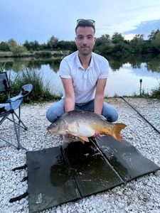 Mirror Carp