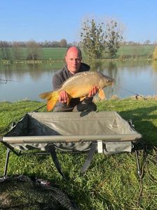 Mirror Carp