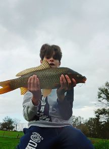 Common Carp