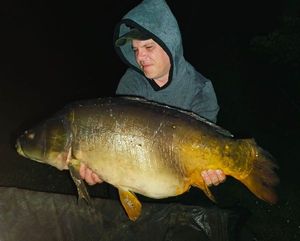 Mirror Carp