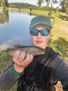 Rainbow Trout