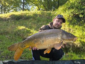 Mirror Carp
