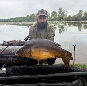 Mirror Carp