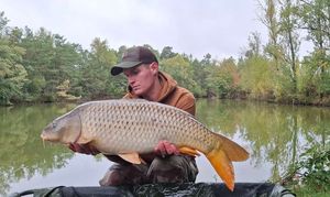 Common Carp