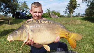 Mirror Carp