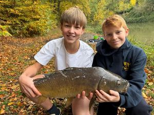 Common Carp