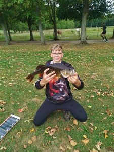 European Perch